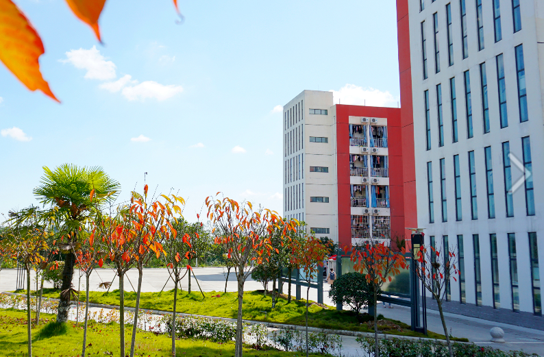 四川幼儿师范高等专科学校校园一角 四川幼儿师范高等专科学校校园一角