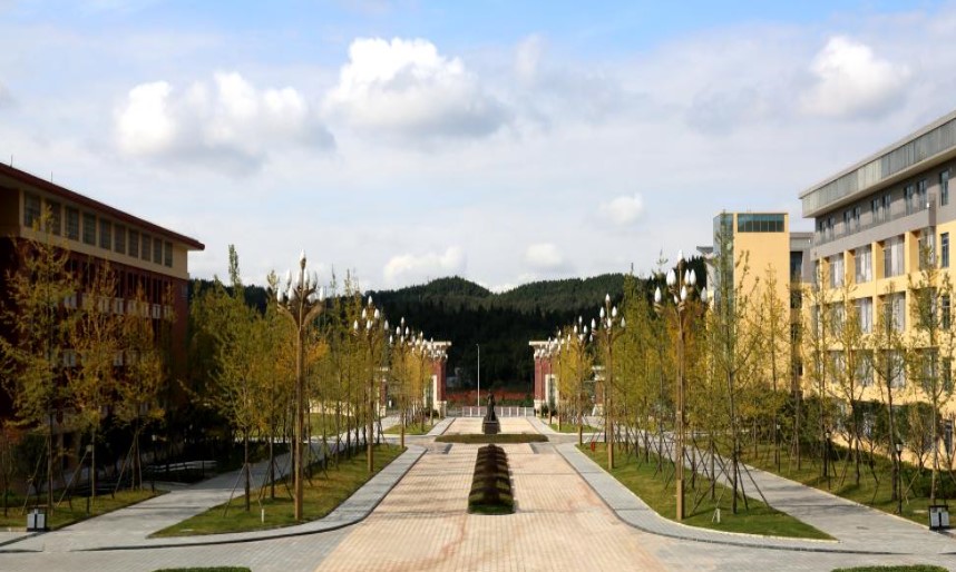 四川护理职业学院德阳校区校园一角 四川护理职业学院德阳校区校园一角