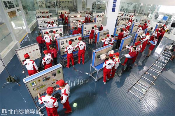 就业方向有哪些 就业方向有哪些