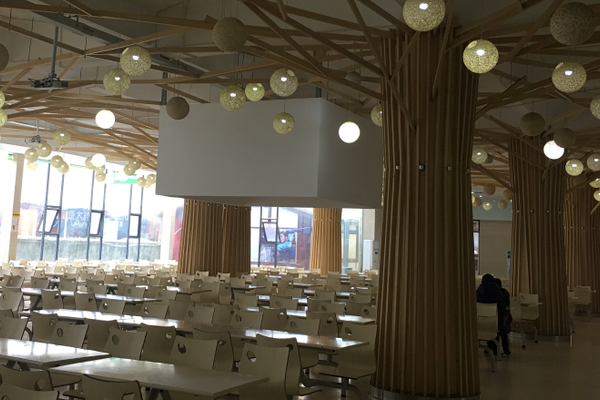 职业技术学校 职业技术学校