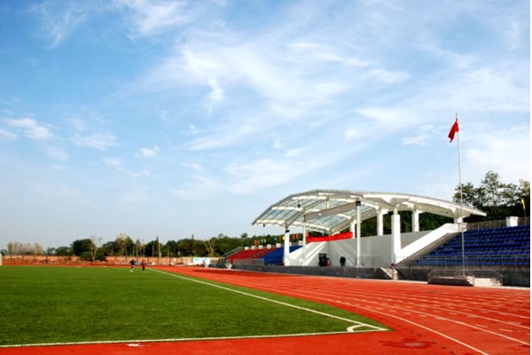 中专有哪些专业比较好