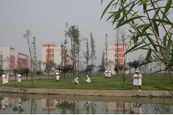 中专卫校毕业可以找什么工作