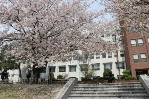 2019年成都市温江区燎原职业中学怎么样?好不好就业呢?