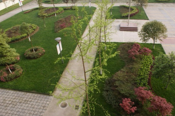 四川省蒲江县职业中专学校2020年招生专业有哪些