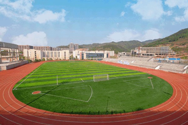 天府新区信息职业学院代表出席数字生态系列活动并致辞