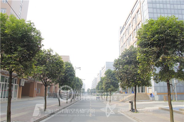 成都航空职业技术学校就业 成都航空职业技术学校就业