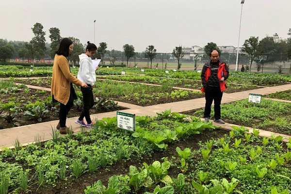 成都高中学校树德怀远中学进行“逸远农场”常规检查