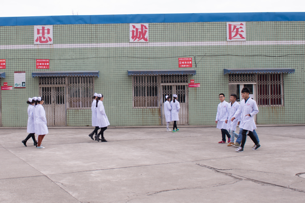 成都中专学校招生 成都中专学校招生