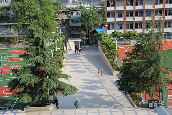 2019合江县少岷职业技术学校年四川省教育厅报道合集