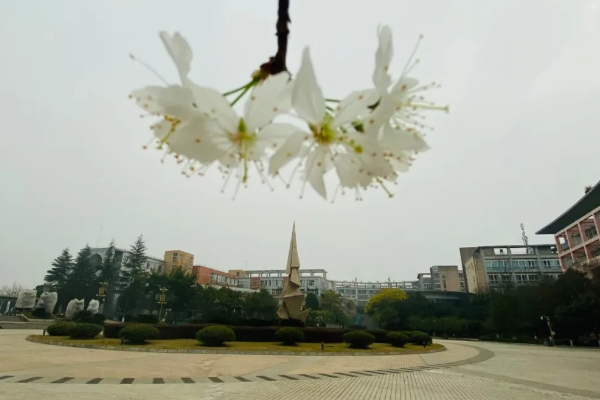 四川城市技师学院 四川城市技师学院