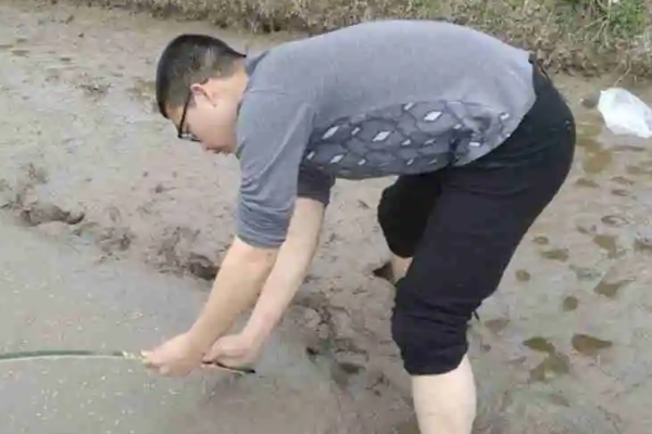 成都中专学校汽修专业学生开展居家劳动