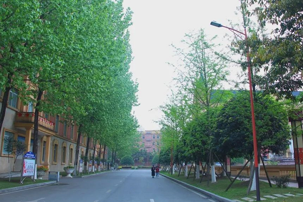 四川职业高中成都希望职业学校的春天