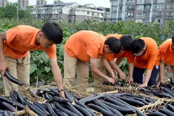 华商理工学校怎么样 华商理工学校怎么样