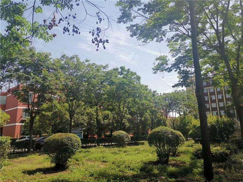 在四川理工技师学院哪些专业就读比较好