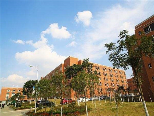 女生读四川五月花技师学院学习什么专业好呢