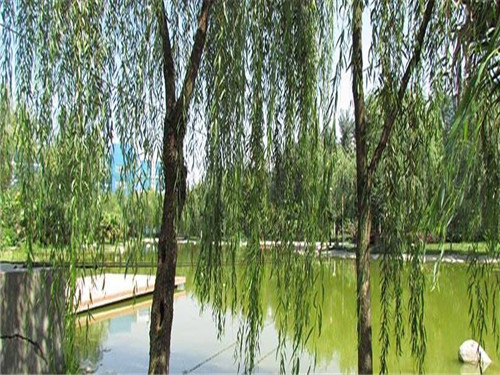 成都希望职业学校幼师专业方向介绍 成都希望职业学校幼师专业方向介绍