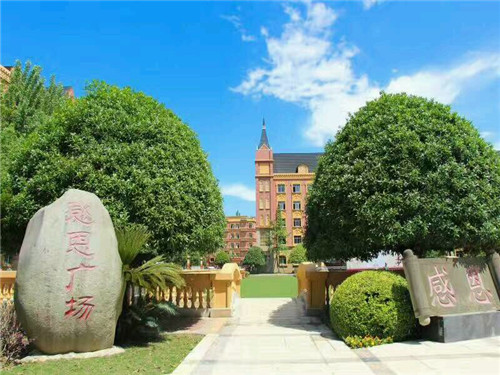 初中毕业生就读成都希望职业学校幼师专业行不行