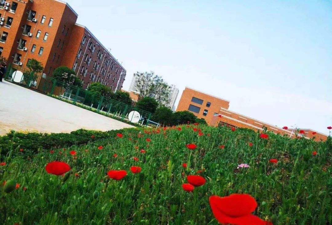 四川五月花技师学院欢迎怎么样 四川五月花技师学院欢迎怎么样