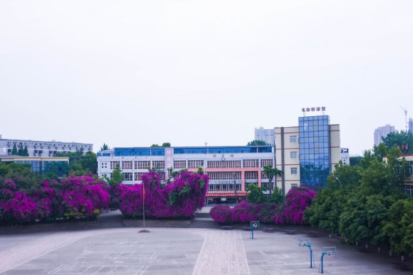 蒲江县寿安中学 蒲江县寿安中学
