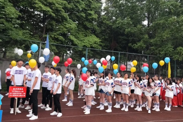 会计专业 会计专业