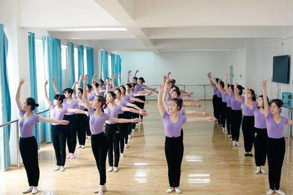 学艺术有什么专业 学艺术有什么专业