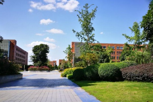 成都幼师学校分数线 成都幼师学校分数线