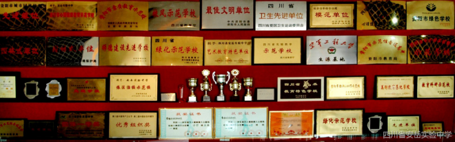 60b72b998ae97.png 安岳实验中学1.png