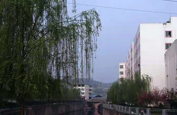 安岳实验中学地址以及联系方式