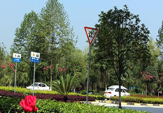 成都希望职业学校旅游专业好就业工资高