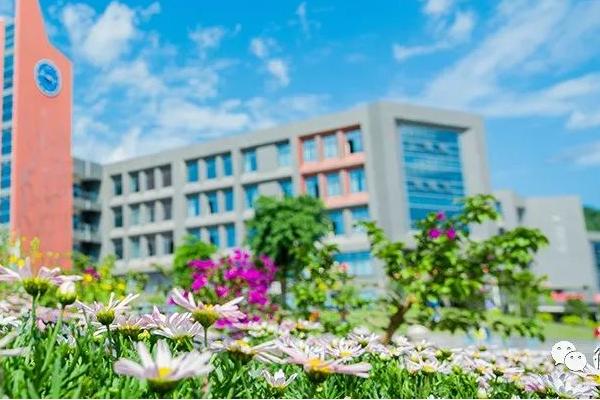 四川科技职业学院 四川科技职业学院