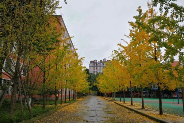 大邑中学是国重吗_大邑中学升学怎么样