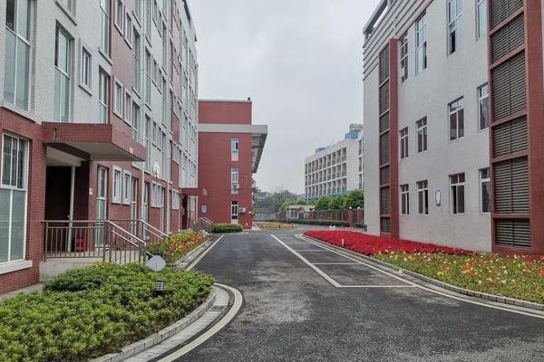 北外附属东坡外国语学校升学率 北外附属东坡外国语学校升学率