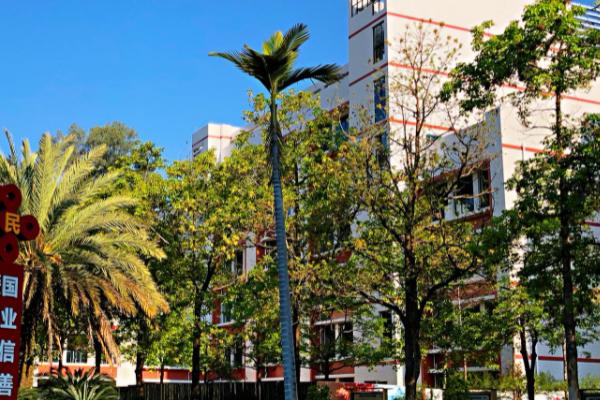 攀枝花市经贸旅游学校 攀枝花市经贸旅游学校