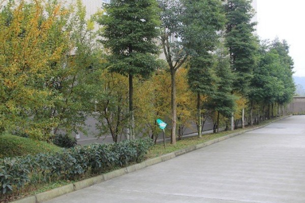 大邑职高 大邑职高