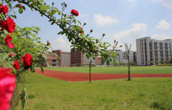 四川省德昌县职业高级中学 四川省德昌县职业高级中学