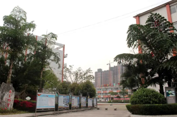 2022年沐川县中等职业学校招生专业有哪些