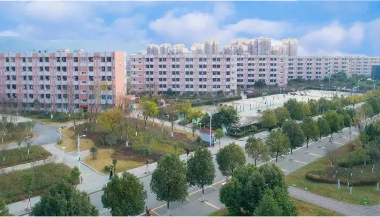 龙泉驿区航空学校 龙泉驿区航空学校