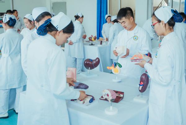 成都锦江区护理专业有哪些_成都锦江区卫校专业排名