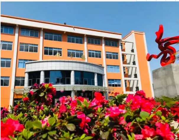 四川现代艺术学校舞蹈专业需要基础吗