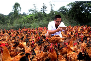 云南跟农林牧渔有关的技校