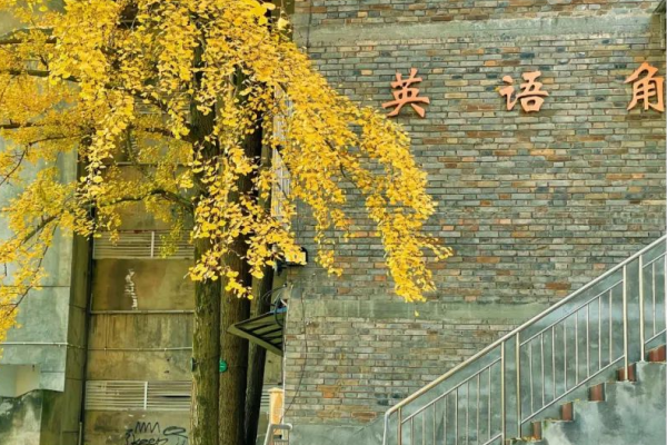 洪雅中学是国重吗 洪雅中学是国重吗