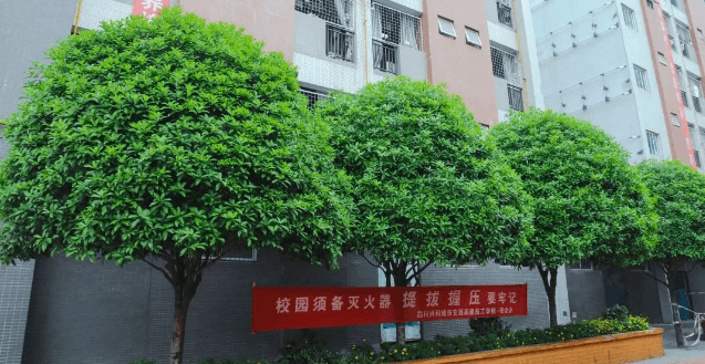 2023四川兴科城市交通高级技工学校招生计划_学校口碑好吗