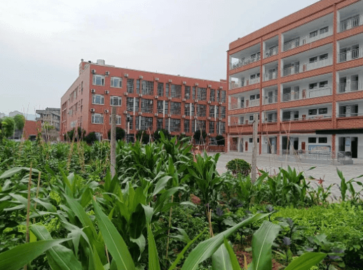 广元市树人中学 广元市树人中学