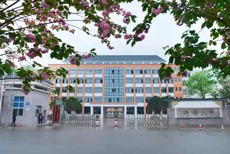 四川省成都市郫都区第三中学 四川省成都市郫都区第三中学