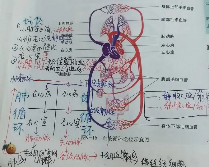 成都市郫都区川科外国语学校 成都市郫都区川科外国语学校