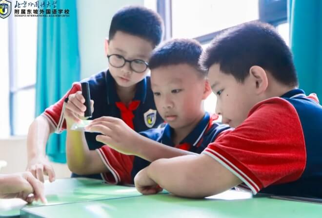 2025年北外附属东坡外国语学校招生对象_招生方式