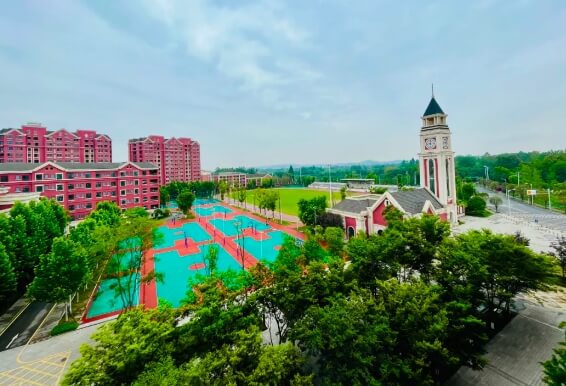 新津成外