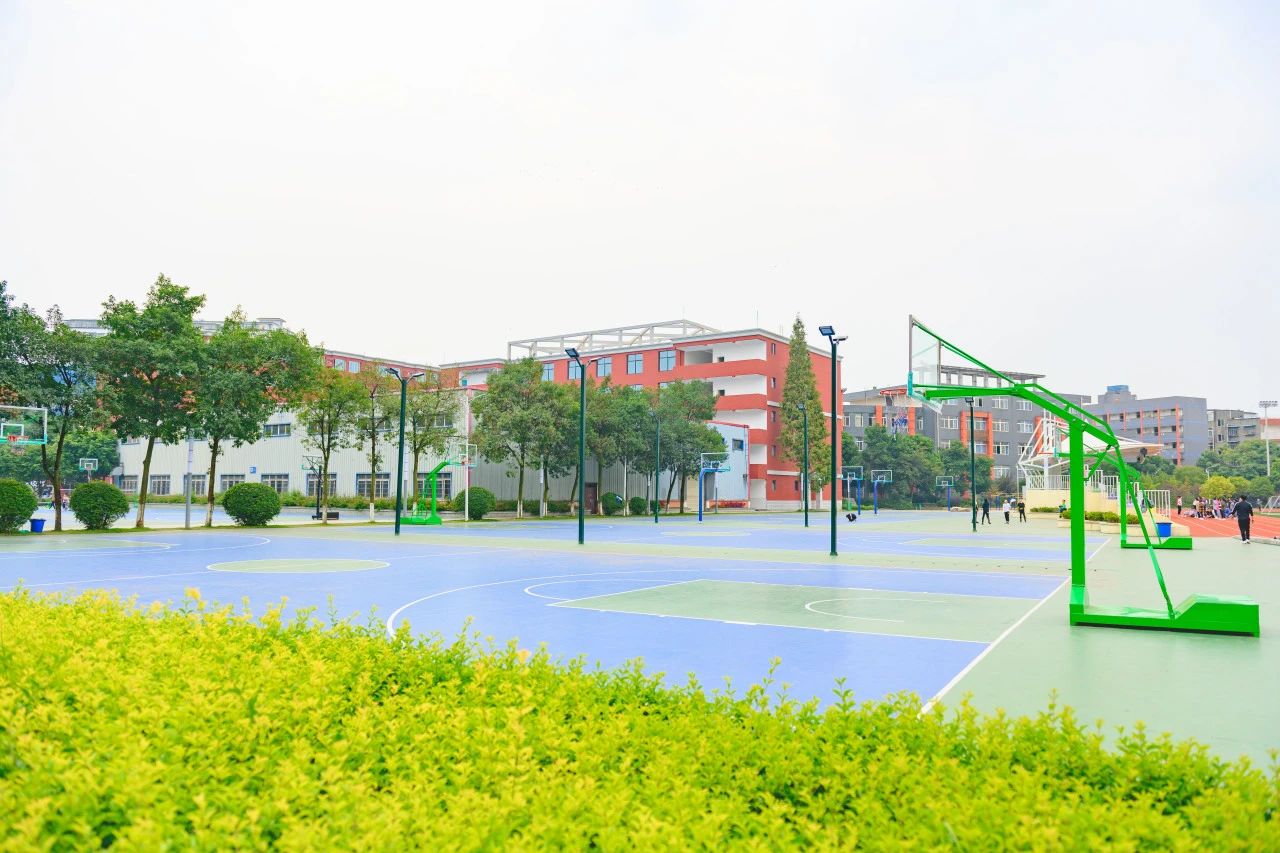 川科外国语学校操场 川科外国语学校操场