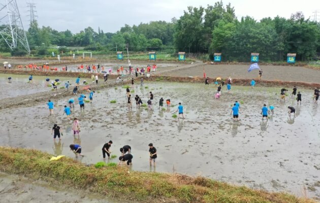 成都华商理工职业学校 成都华商理工职业学校