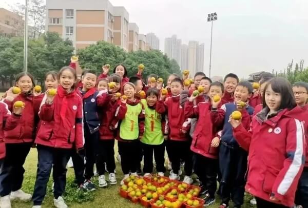成都冠城实验学校 成都冠城实验学校